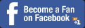 Become a Fan on Facebook